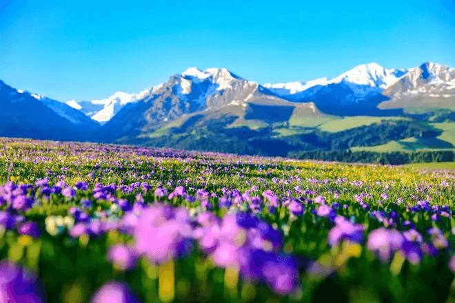 Kalajun Prairie