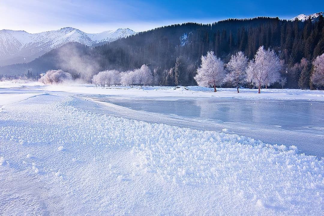 Altay