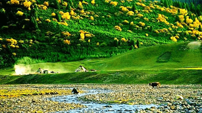 Naraty Air Grassland