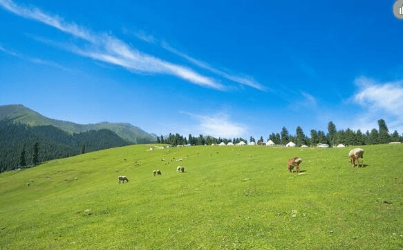 Shuixigou County