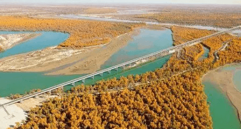 Tarim River Grand Bridge