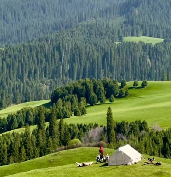 Qiaxi Grassland