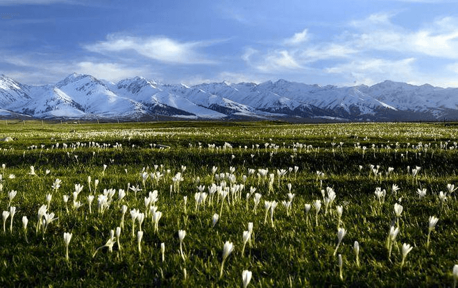 Naraty Grassland