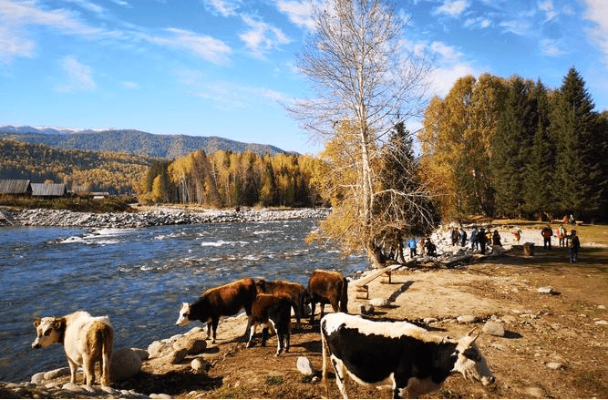 Kanas Trekking