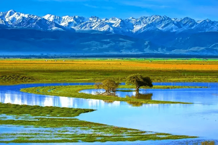 Zhaosu Wetland Park