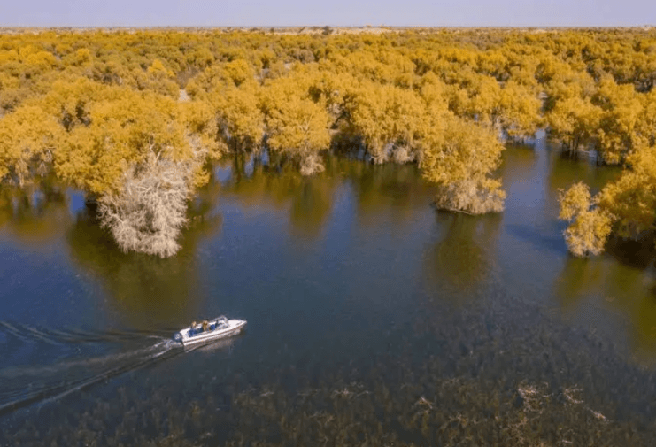 Tarim River Wetland Park