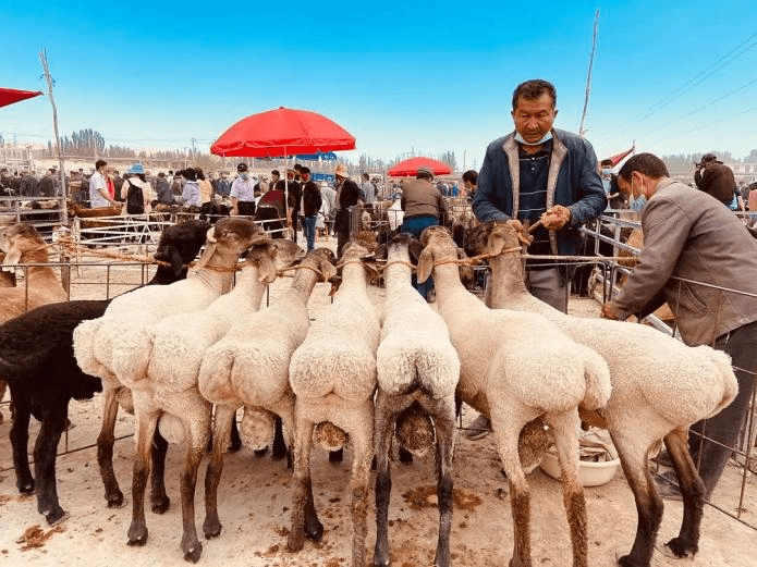 Sunday Bazaar