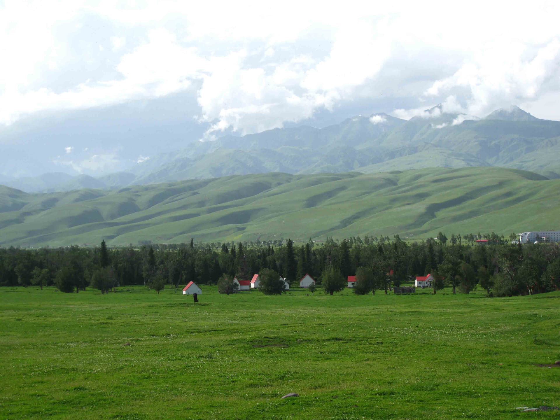 Nalati Grassland