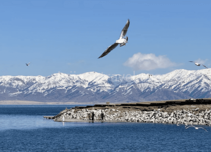 Sayram Lake