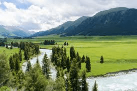 Naraty Grassland