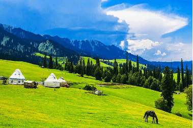 Nalati Air Grassland