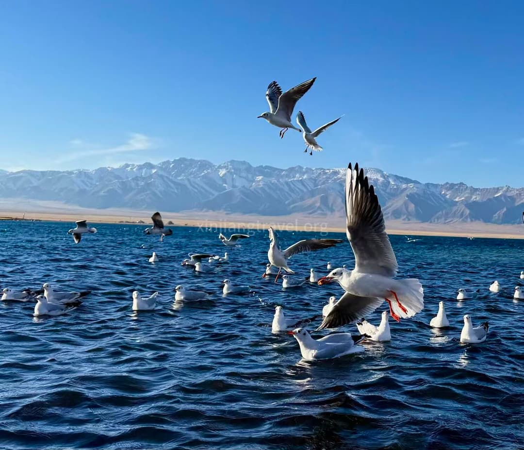Sayram Lake