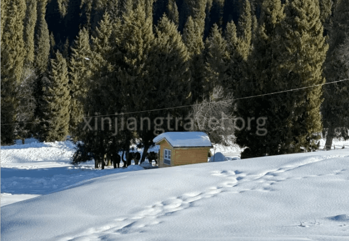 Kurdening Valley