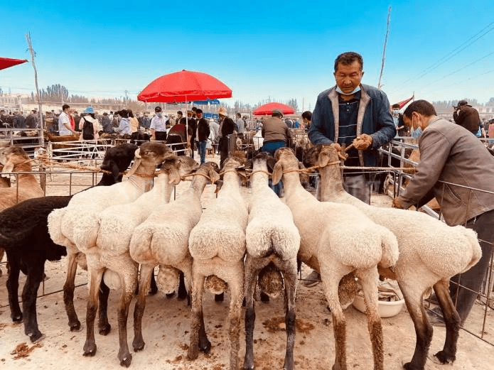 Sunday Bazaar