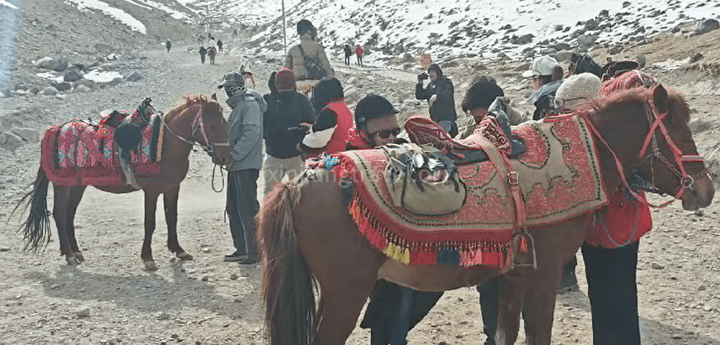 Unforgettable Horsebacking Experience in Xinjiang