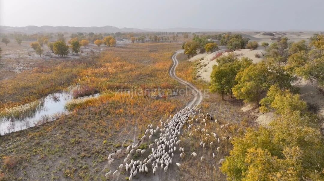 Taklamakan Desert