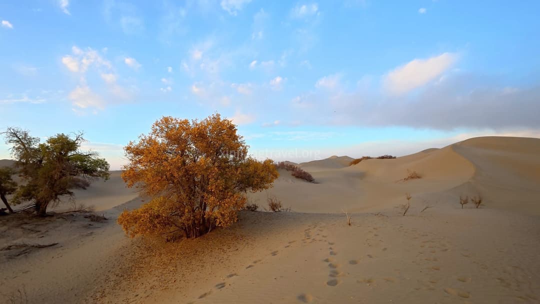 Taklamakan Desert