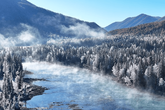 Winter