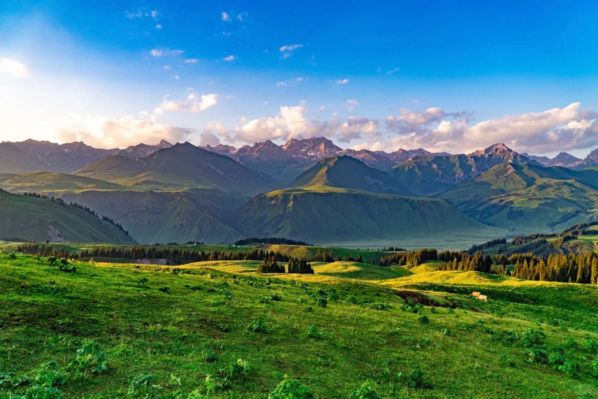 naraty-grassland.jpg
