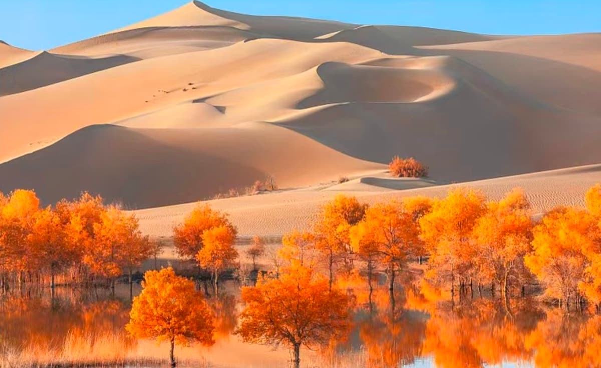 Taklamakan-Desert-01.jpg