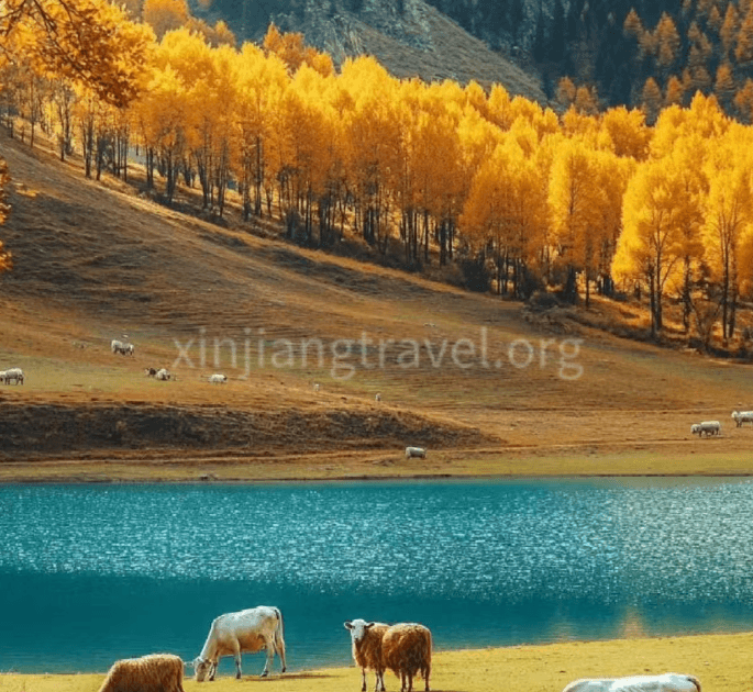 south xinjiang.png