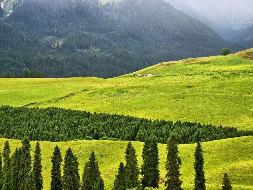 xinjiang