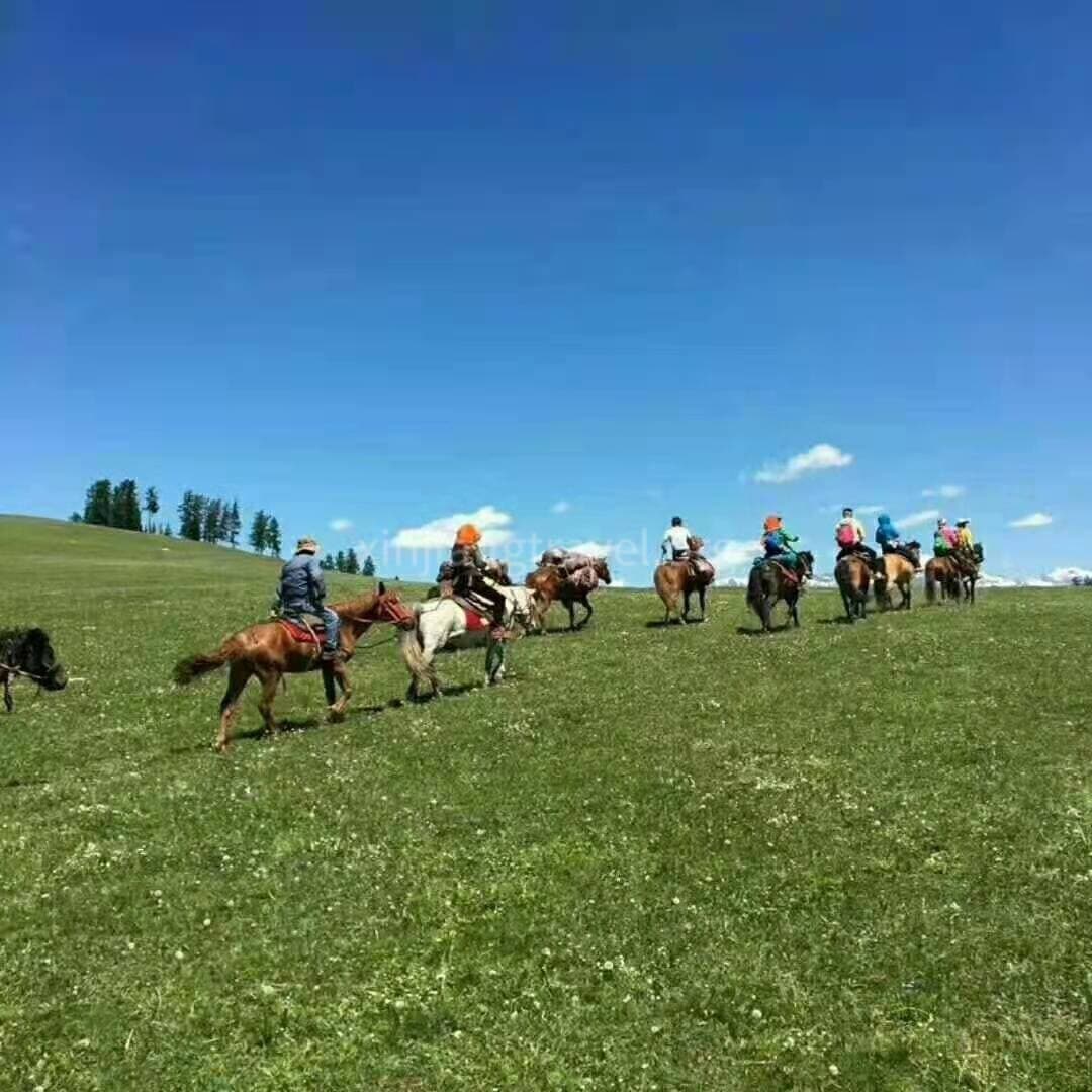 horse-riding.jpg