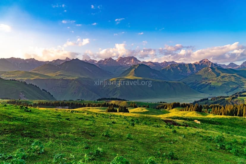 naraty-grassland.jpg