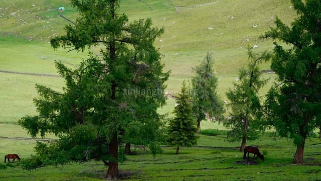 baihaba-village.jpg