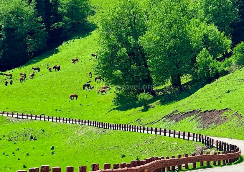 13-days-north-xinjiang-tour-01.jpg