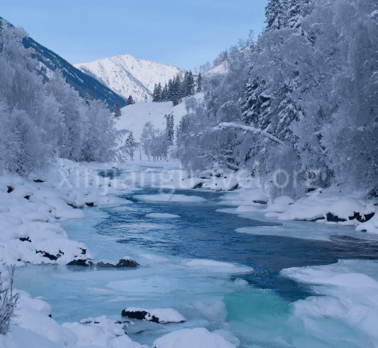 Altay-01.png