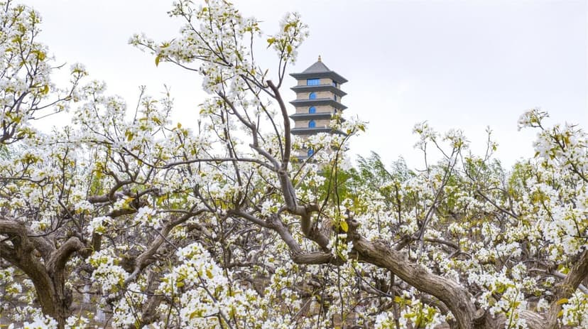 xinjiang-spring-travel-5