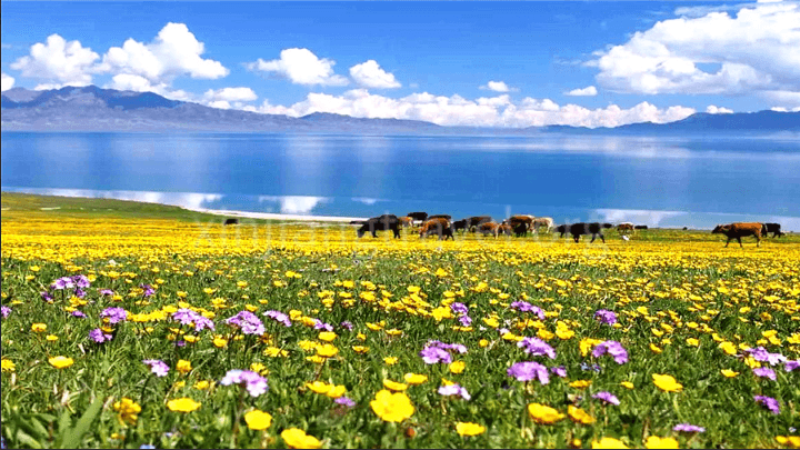 sayram-lake.png