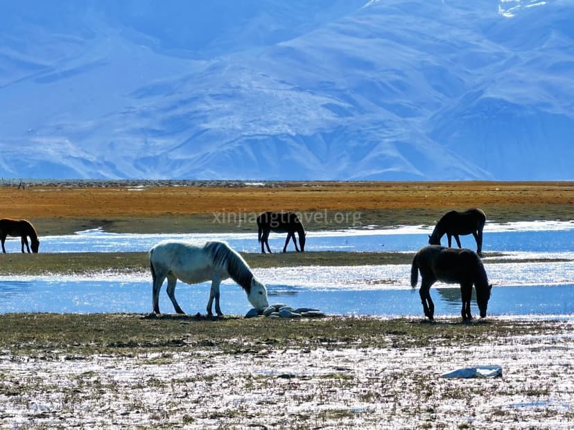 karakul-lake.jpg