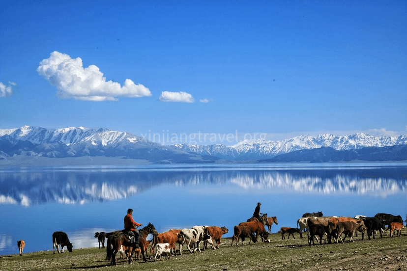 xinjiang-horseback-travel-4