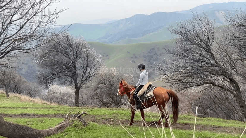 xinjiang-horseback-travel-8