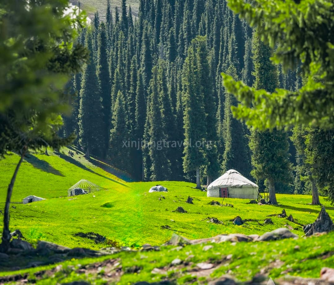 nalati-grassland-01.jpg
