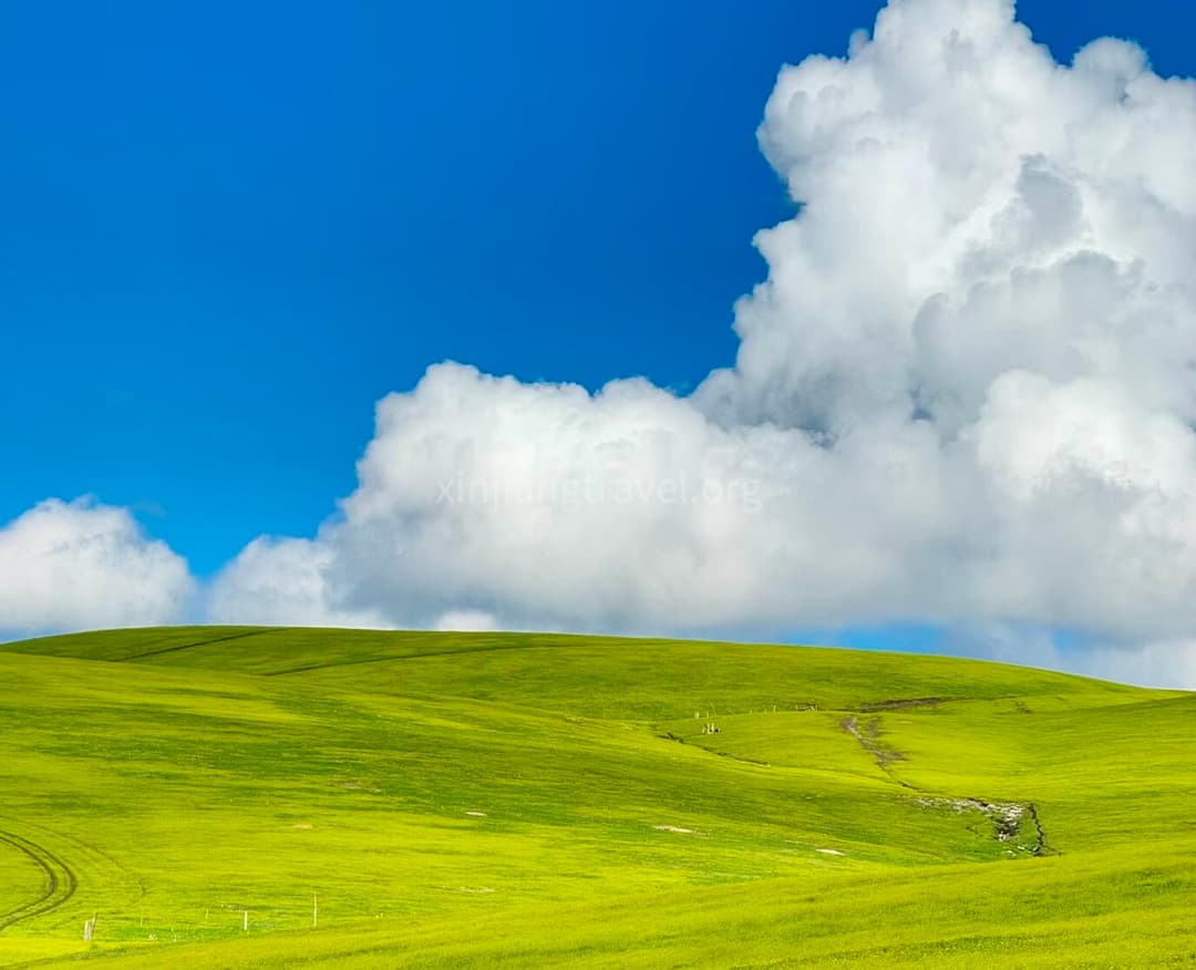 kalajun-grassland-01.jpg