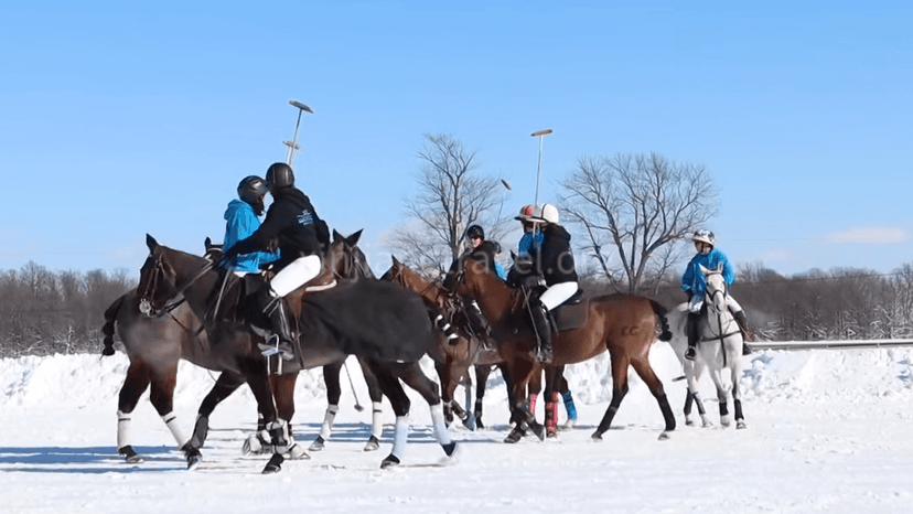 altay-skiing-tour.png