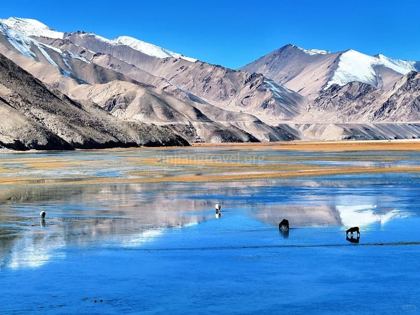 karakum-lake.jpg