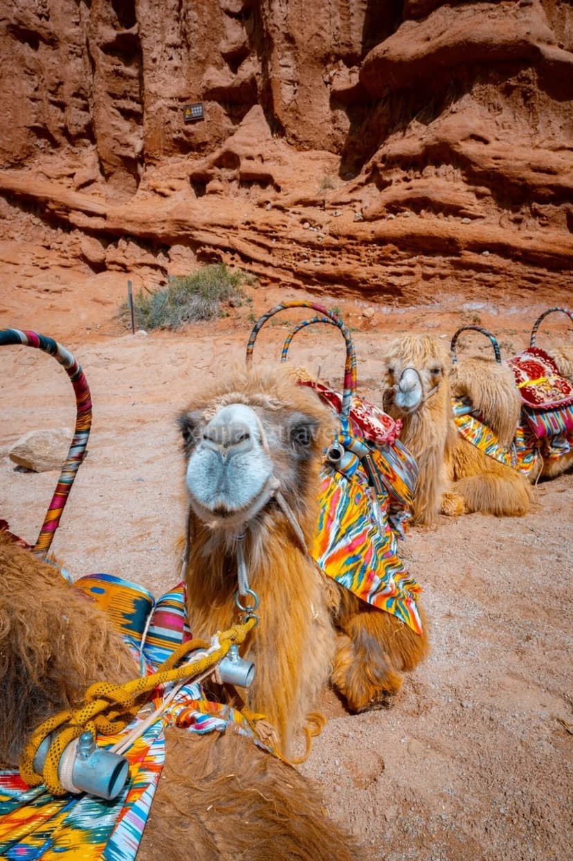 tianshan-tomur-grand-canyon.jpg