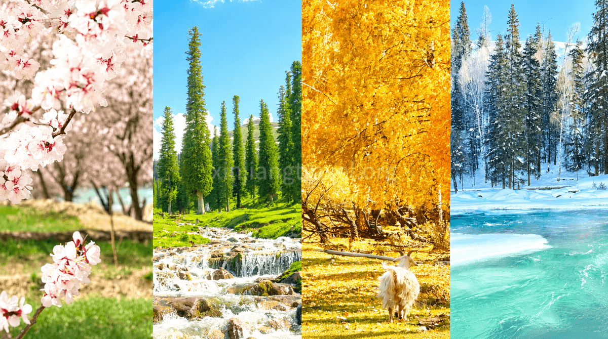 four-seasons.png
