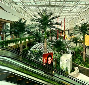 MM3 in Urumqi.jpg