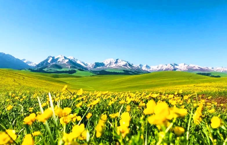 Karajun Grassland2