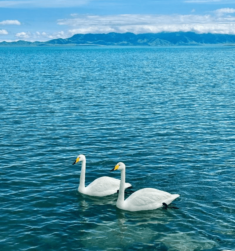 Sayram-lake-1