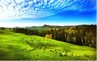 Nalati-Grassland