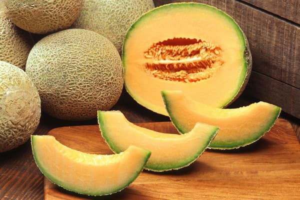 melon