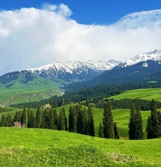 Naraty in April