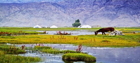 Xinjiang Travel to Taxkorgan Country