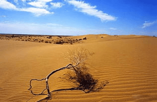 Gurbantonggut-desert